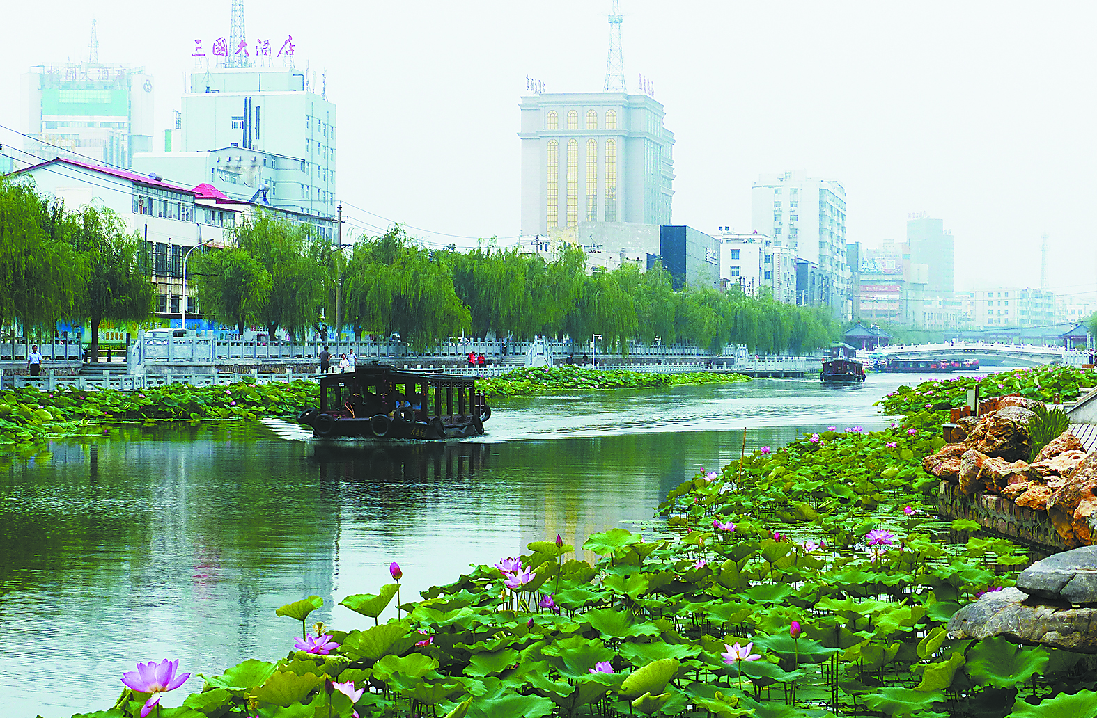 荷深水风阔,雨过清香发-今日许昌-许昌新闻-许
