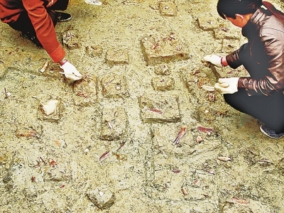 东亚人口形势_认清形势放弃幻想图片
