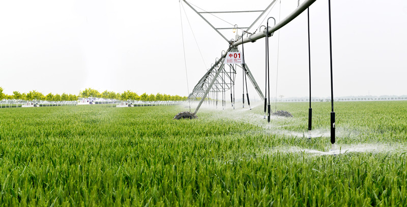 许昌网-流金溢彩沃野丰