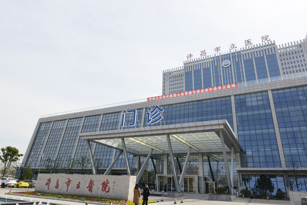 加速推进我市百城建设提质工程