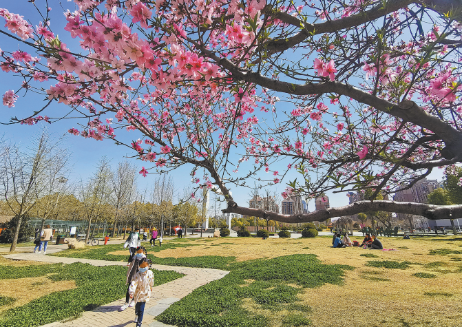 春回大地 美景如画