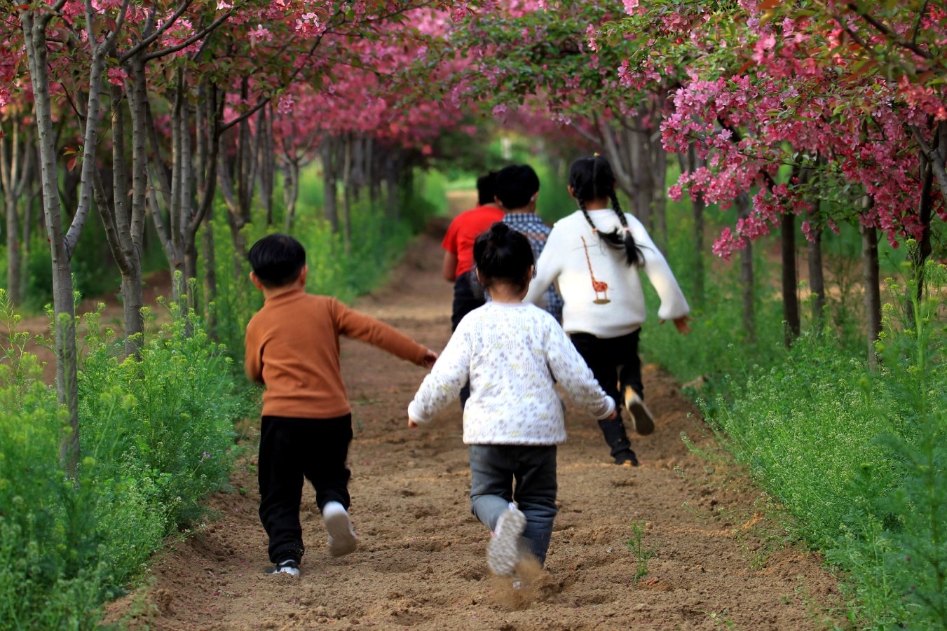 幼儿园春游活动方案 - 知乎