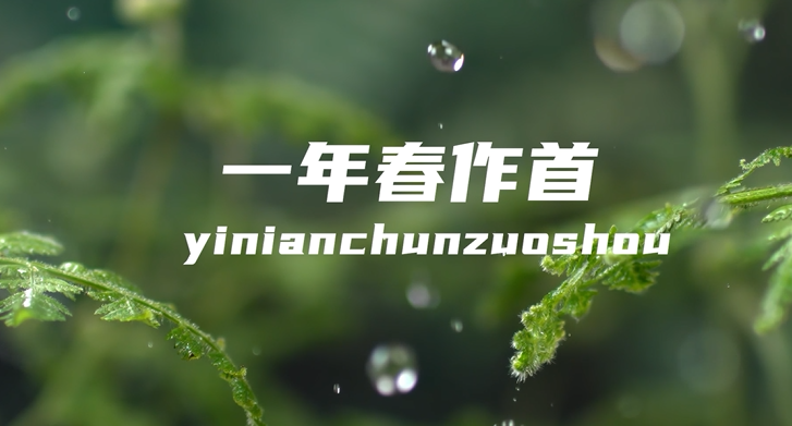 1768e39d-b98f-4672-a3dc-a61ebd39b150.png