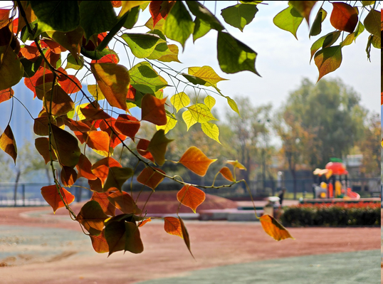 图片.png 图片.png