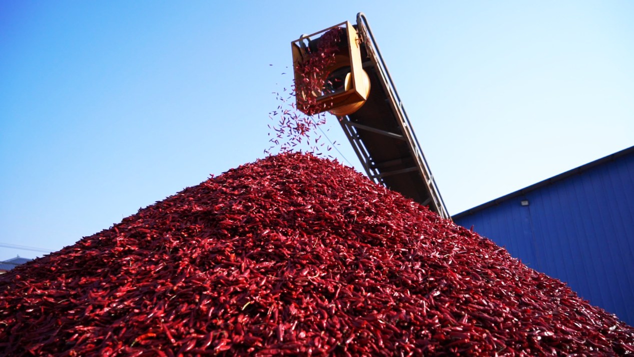 90104e7b99f7fcc99472b15f3abaf67b-o.jpg 90104e7b99f7fcc99472b15f3abaf67b-o.jpg